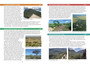 100 Trees to See on Safari: Easy ID Guide for East Africa - ISBN 9781775845492 (inside pages 2)