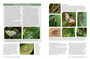 Pollinators, Predators & Parasites: The Ecological Roles of Insects in Southern Africa - ISBN 9781775845553 (inside pages 4)