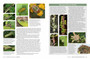 Pollinators, Predators & Parasites: The Ecological Roles of Insects in Southern Africa - ISBN 9781775845553 (inside pages 5)