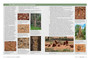 Pollinators, Predators & Parasites: The Ecological Roles of Insects in Southern Africa - ISBN 9781775845553 (inside pages 6)
