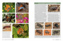 Pollinators, Predators & Parasites: The Ecological Roles of Insects in Southern Africa - ISBN 9781775845553 (inside pages 7)