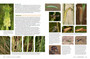 Pollinators, Predators & Parasites: The Ecological Roles of Insects in Southern Africa - ISBN 9781775845553 (inside pages 8)