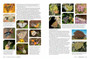 Pollinators, Predators & Parasites: The Ecological Roles of Insects in Southern Africa - ISBN 9781775845553 (inside pages 10)