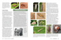 Pollinators, Predators & Parasites: The Ecological Roles of Insects in Southern Africa - ISBN 9781775845553 (inside pages 11)