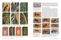 Pollinators, Predators & Parasites: The Ecological Roles of Insects in Southern Africa - ISBN 9781775845553 (inside pages 12)