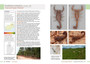 Field Guide to Scorpions of South Africa - ISBN 9781775845744 (inside pages 3)