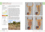 Field Guide to Scorpions of South Africa - ISBN 9781775845744 (inside pages 5)