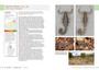 Field Guide to Scorpions of South Africa - ISBN 9781775845744 (inside pages 8)