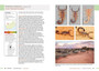 Field Guide to Scorpions of South Africa - ISBN 9781775845744 (inside pages 10)