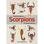 Field Guide to Scorpions of South Africa - ISBN 9781775845744