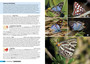 Field Guide to Butterflies of South Africa - ISBN 9781775845874 (inside pages 2)
