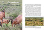 Shaping Addo: The Story of a South African National Park - ISBN 9781775846048 (inside pages 2)