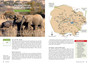 Stuarts' Field Guide to National Parks & Nature Reserves of South Africa - ISBN 9781775846116 (inside pages 3)