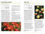Sasol First Field Guide to Succulents of Southern Africa - ISBN 9781775846338 (inside pages 2)
