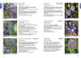Wild Flowers of the Cape Peninsula: Quick ID Guide - ISBN 9781775846406 (inside pages 2)