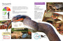 Kinders se slange van Suider-Afrika - ISBN 9781775846444 (inside pages 5)