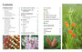 South African Indigenous Garden Plants: The Gardener's Guide - ISBN 9781775846505 (inside pages 1)