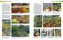 South African Indigenous Garden Plants: The Gardener's Guide - ISBN 9781775846505 (inside pages 11)