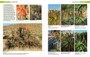 South African Indigenous Garden Plants: The Gardener's Guide - ISBN 9781775846505 (inside pages 13)