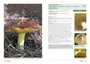 Field Guide to Mushrooms & Other Fungi of South Africa - ISBN 9781775846543 (inside pages 1)