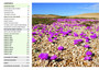 Field Guide to Wild Flowers of South Africa (2nd edition) - ISBN 9781775846765 (inside pages 4)