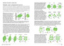 How to Identify Trees in Southern Africa (2nd edition) - ISBN 9781775846789 (inside pages 2)