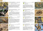 Wilde Natur in Namibia: Ein Handbuch mit Fotos - ISBN 9781775846826 (inside pages 3)
