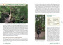 Walking Safaris of South Africa: Guided Walks and Trails in National Parks and Game Reserves - ISBN 9781775846901 (inside pages 4)