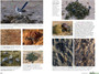 Stuarts' Field Guide to Tracks & Signs of Southern, Central & East African Wildlife - ISBN 9781775846925 (inside pages 3)