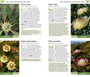 Pocket Guide Fynbos - ISBN 9781775846956 (inside pages 2)