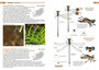 A Guide to the Dragonflies and Damselflies of South Africa (2nd edition) - ISBN 9781775847007 (inside pages 3)