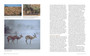 The Living Deserts of Southern Africa - ISBN 9781775847045 (inside pages 8)