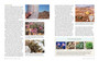 The Living Deserts of Southern Africa - ISBN 9781775847045 (inside pages 10)