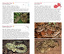 Pocket Guide Snakes & Other Reptiles of Zambia & Malawi - ISBN 9781775847168 (inside pages 2)