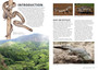 Snakes and Other Reptiles of Zambia and Malawi - ISBN 9781775847373 (inside pages 1)