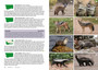 Field Guide to Fynbos Fauna - ISBN 9781775847397 (inside pages 2)