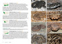 Field Guide to Fynbos Fauna - ISBN 9781775847397 (inside pages 4)