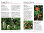 Sasol First Field Guide to Mushrooms of Southern Africa (2nd edition) - ISBN 9781775847410 (inside pages 1)