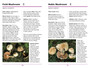 Sasol First Field Guide to Mushrooms of Southern Africa (2nd edition) - ISBN 9781775847410 (inside pages 2)