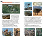 Avian Architects: Quick ID Guide to Nests and Eggs of Southern African Birds - ISBN 9781775847434 (inside pages 2)