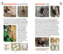 Avian Architects: Quick ID Guide to Nests and Eggs of Southern African Birds - ISBN 9781775847434 (inside pages 3)