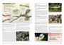 A Complete Guide to the Snakes of Southern Africa (2nd edition) - ISBN 9781775847472 (inside pages 2)