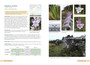 Saunders' Field Guide to Gladioli of South Africa - ISBN 9781775847618 (inside pages 3)