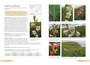 Saunders' Field Guide to Gladioli of South Africa - ISBN 9781775847618 (inside pages 4)
