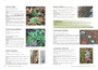 Plants of the Baviaanskloof - ISBN 9781775847670 (inside pages 3)