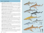 Pocket Guide to Sharks of the World - ISBN 9781775847762 (inside pages 3)