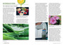 An Illustrated Guide to Medicinal Plants of East Africa - ISBN 9781775847878 (inside pages 1)