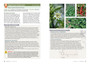 An Illustrated Guide to Medicinal Plants of East Africa - ISBN 9781775847878 (inside pages 4)