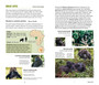 Primates: Quick ID Guide to Africa's Great Apes, True Monkeys and Their Relatives - ISBN 9781775847939 (inside pages 1)