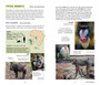 Primates: Quick ID Guide to Africa's Great Apes, True Monkeys and Their Relatives - ISBN 9781775847939 (inside pages 2)